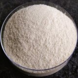 Chitin Powder Suppliers