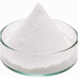 Levetiracetam Suppliers
