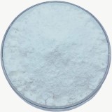 Mesalamine Suppliers
