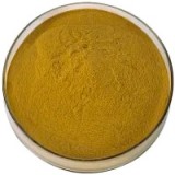 Neem Extract Suppliers